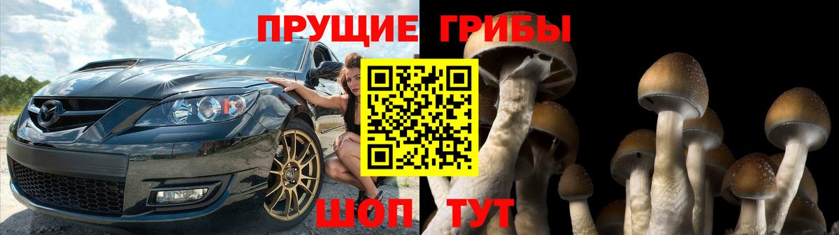 Псилоцибиновые грибы ЛСД Ржев